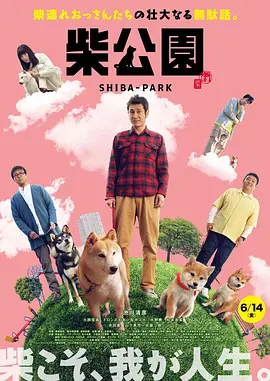 麻豆视频播放