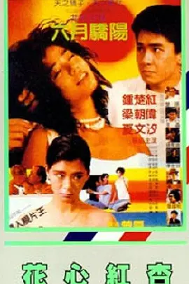 最新mt482