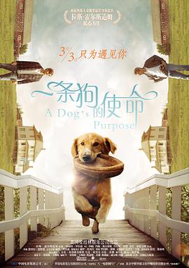 欧美 日韩 三区