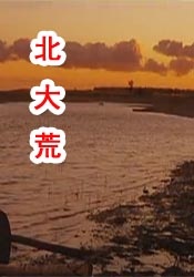 gay电影网站